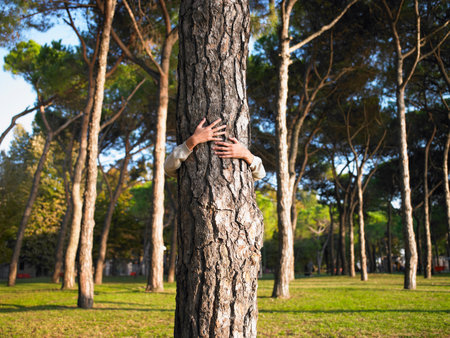 Woman hugging a treeの写真素材