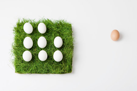 Eggs with patch of grassの写真素材