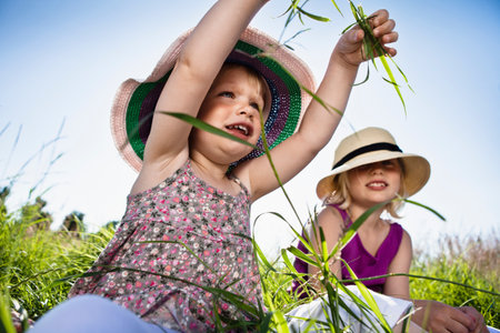 Girls playing in grass togetherの写真素材