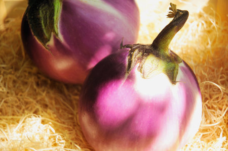 Close up of purple fruitsの写真素材