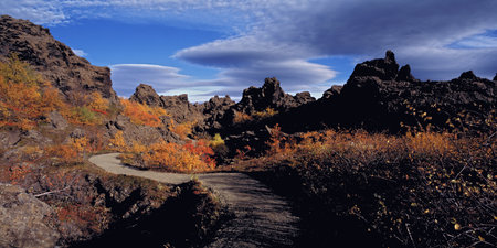Dirt path in rocky terrainの写真素材