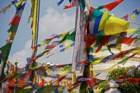 Colorful flags hanging in backyardの写真素材