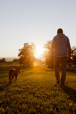 Man walking dog in rural fieldの写真素材