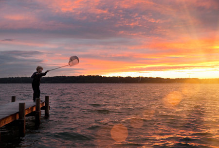 Boy fishing with net in lakeの写真素材