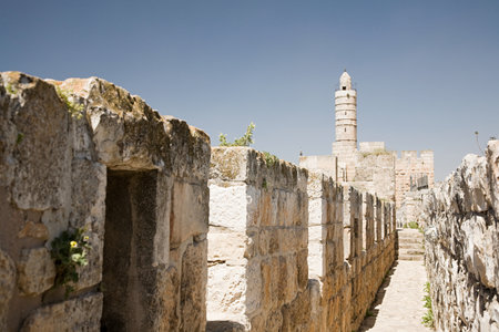 Tower of david