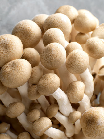 Mushrooms background.の写真素材