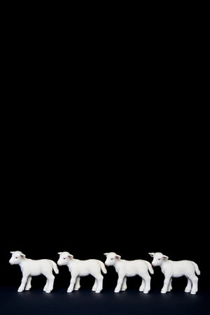 Four toy lambs in a row