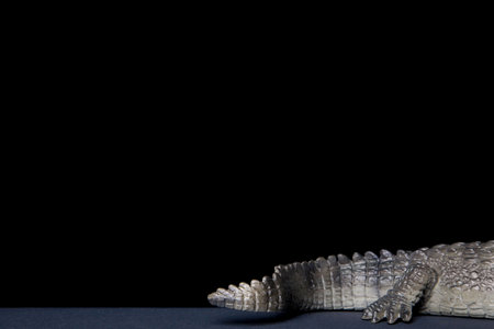 Toy crocodiles tailの写真素材