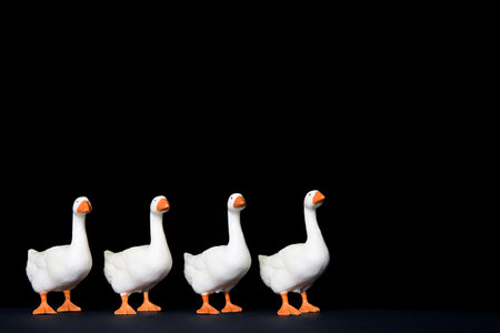 Four toy geese in a rowの写真素材