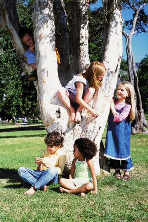 Children playing on a treeの写真素材