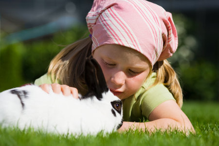 A girl stroking a rabbitの写真素材