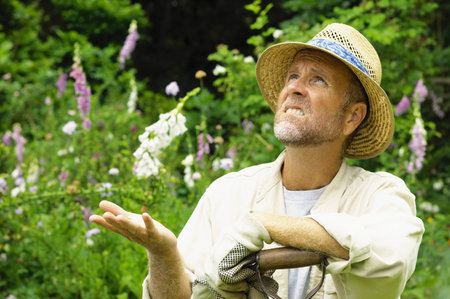 Man gardeningの写真素材