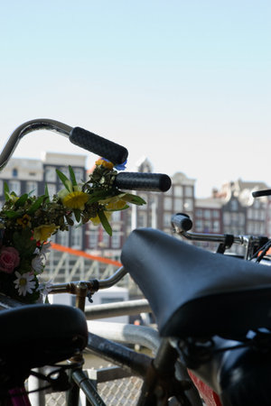 Bicycles in amsterdamの写真素材