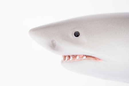 Toy shark background.の写真素材
