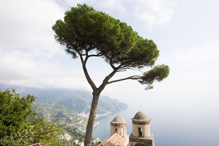 Church and tree in ravello