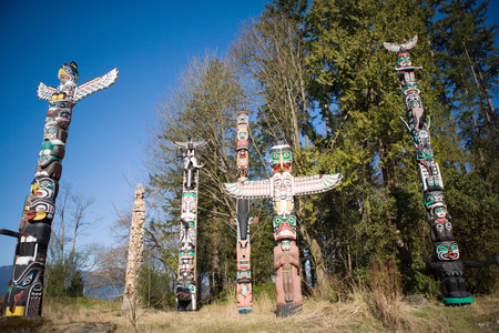 Totem poles in stanley park vancouverの写真素材