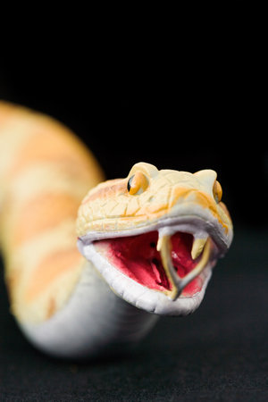 Toy snake with black background.