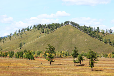 Siberian landscape background.