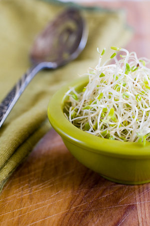 Alfalfa sproutsの写真素材