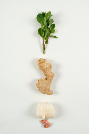 Garlic ginger and mintの写真素材