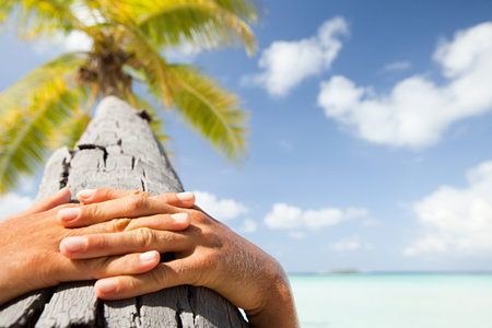Hands together on palm tree, Maadaugalla Island, North Huvadhu Atoll, Maldivesの写真素材