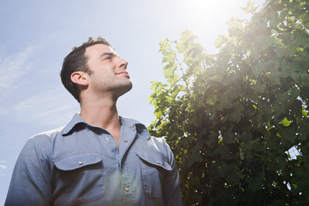 Young man in vineyard, low angleの写真素材