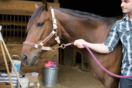 Young man with horse