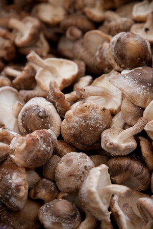 Shiitake mushrooms
