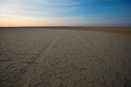 Cracked earth and horizon, Northern Cape, South Africa