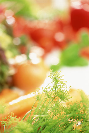 Vegetables background.の写真素材