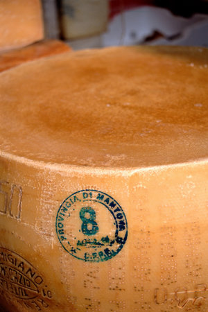 Various cheesesのeditorial素材