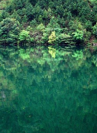 Trees and water background.の写真素材