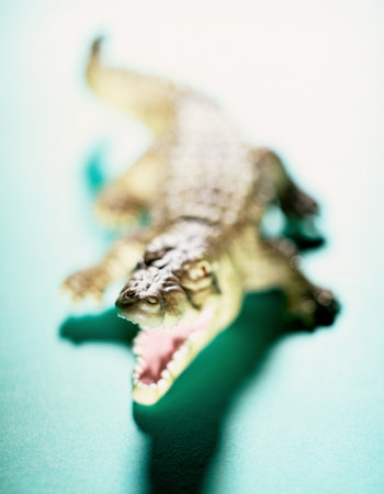 Toy crocodileの写真素材