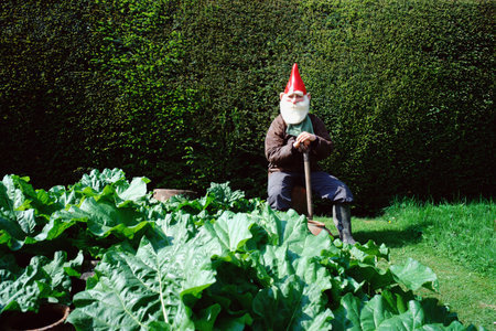 Garden gnome background.の写真素材
