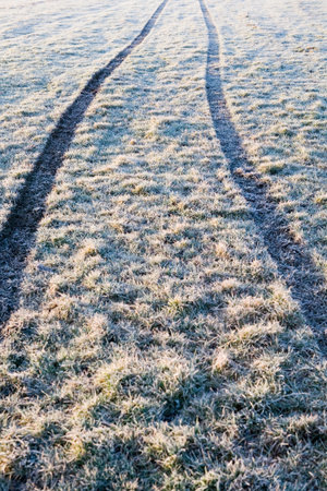 Tracks in frosty grassの写真素材