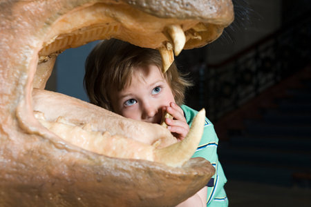 Boy looking at a rhinos teethの写真素材