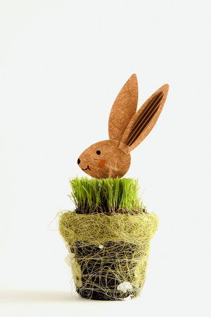 Wooden rabbit in grassの写真素材