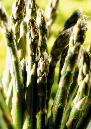 Asparagus tipsの写真素材