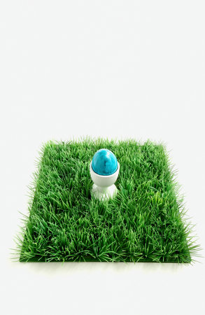 Blue egg on grassの写真素材