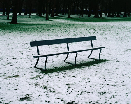 Bench in a snowy parkの写真素材