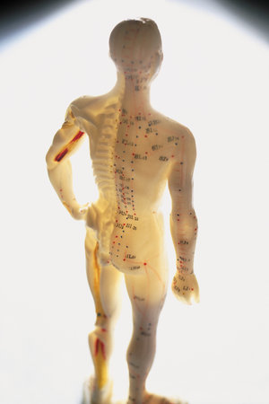 Acupuncture pointsの写真素材