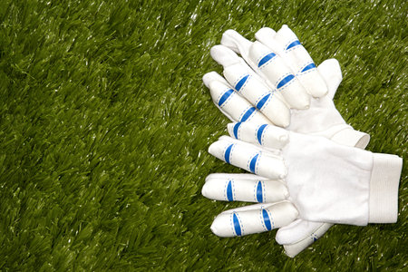 Cricket glovesの写真素材