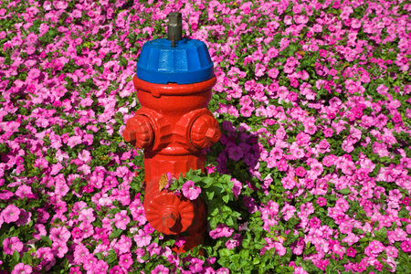 Fire hydrant and pink flowersの写真素材