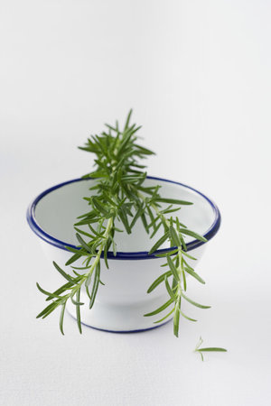 Rosemary on top of a bowlの写真素材