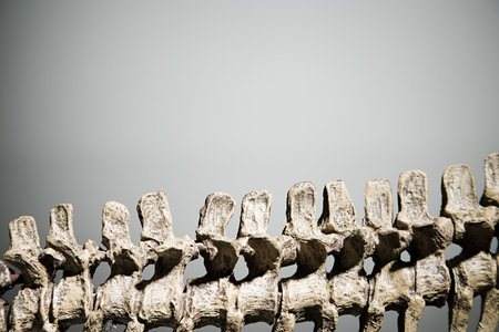 Dinosaur skeleton