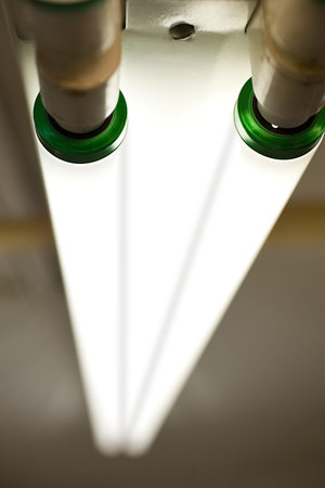 Fluorescent lightの写真素材