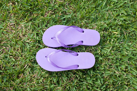 Purple flip flops on a grassの写真素材