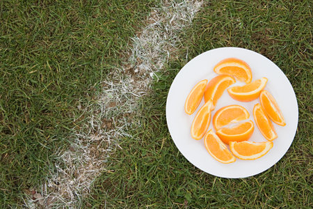 Slices of orange on a plate