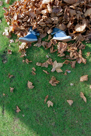 Man buried in leaves