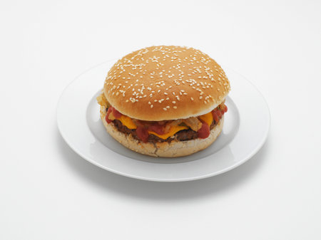 Burger on plateの写真素材